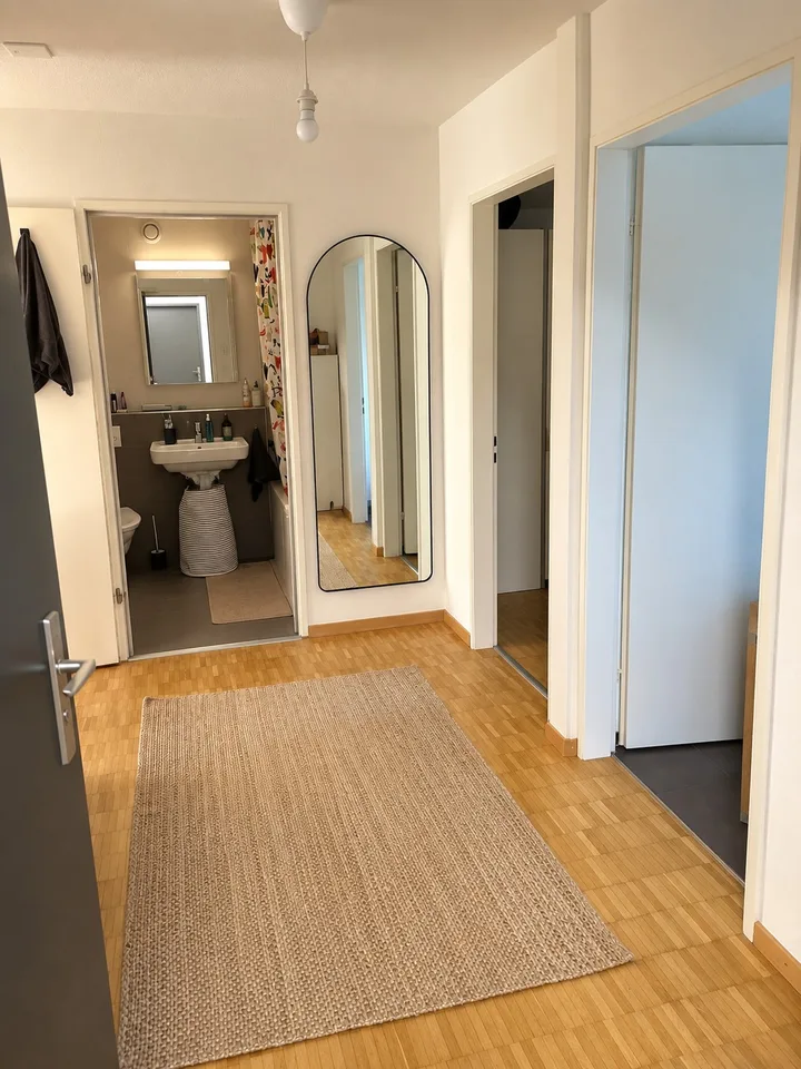 Bright apartment by the Limmat Neuenhof