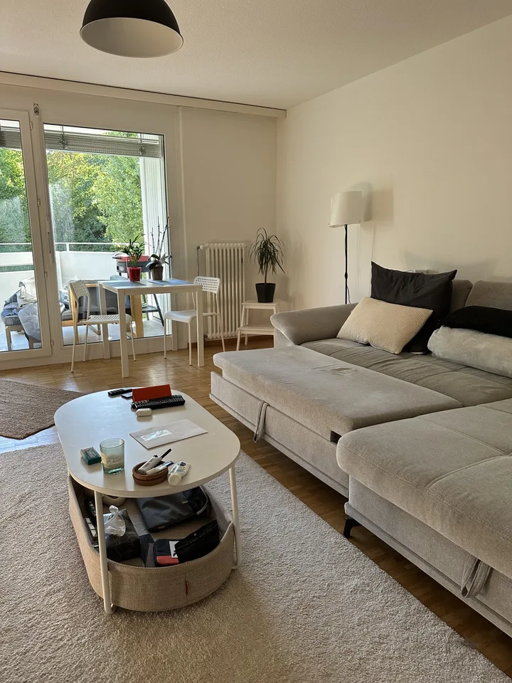 Bright apartment by the Limmat Neuenhof