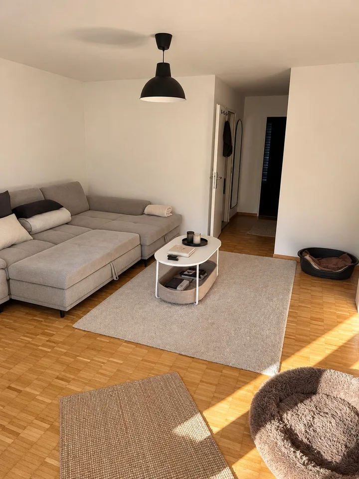 Bright apartment by the Limmat Neuenhof