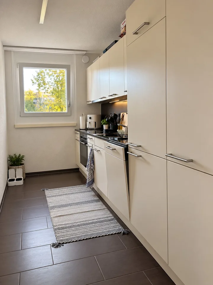 Bright apartment by the Limmat Neuenhof