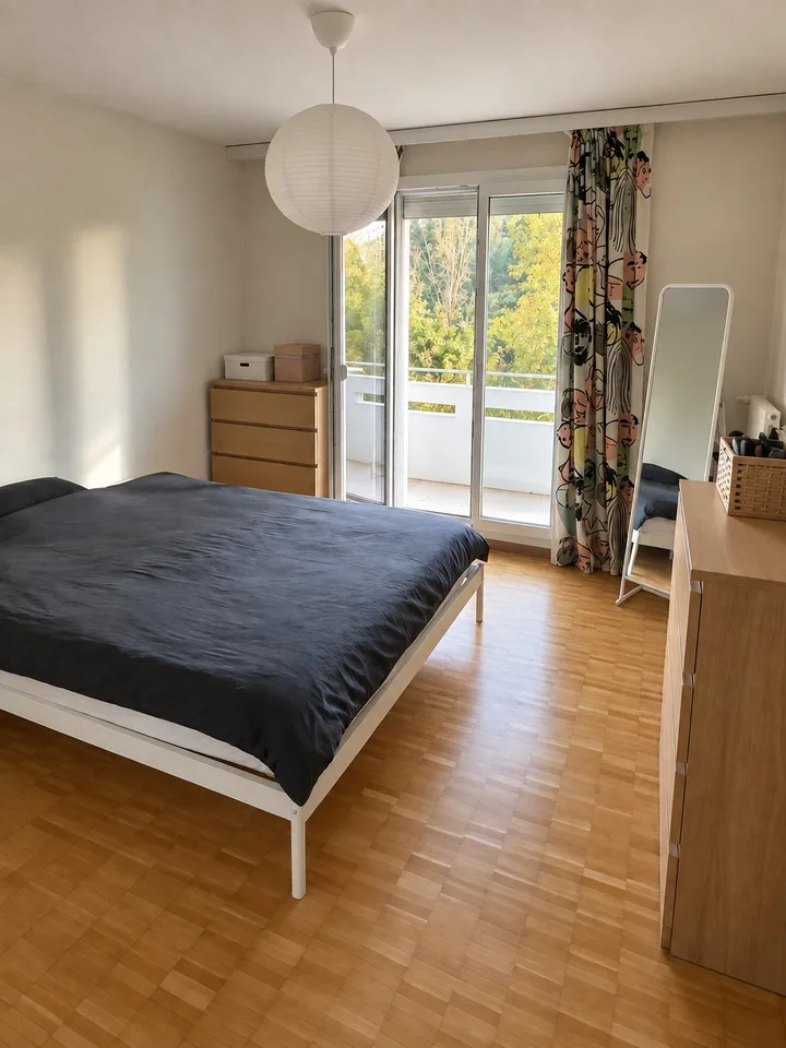 Bright apartment by the Limmat Neuenhof