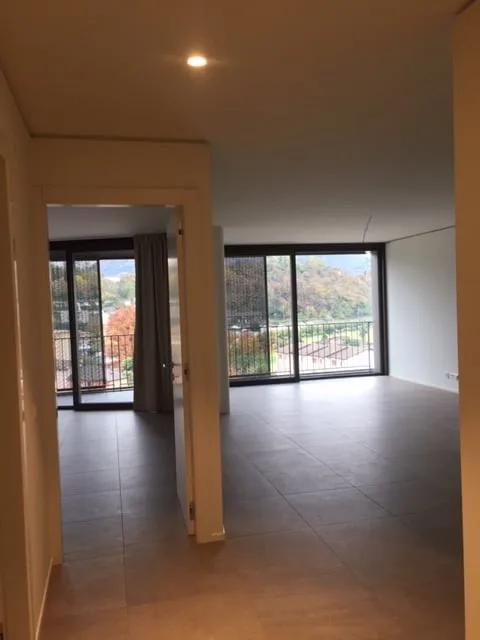 Attique exclusif de 2,5 pièces à Sorengo