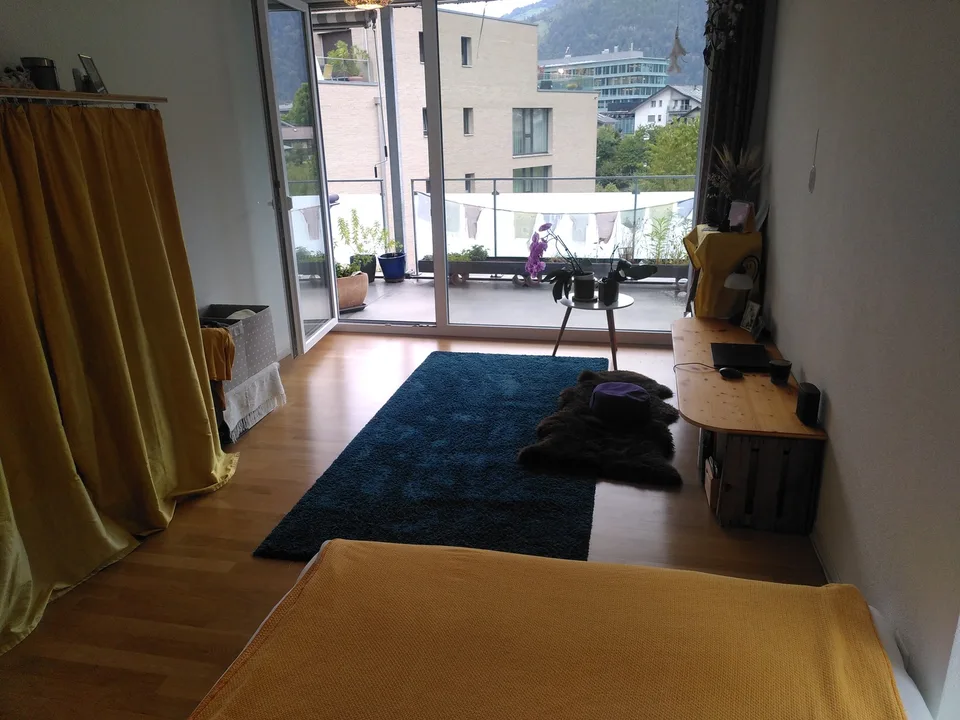 Camera di 16m2 in un appartamento condiviso di 3 persone (100m2)