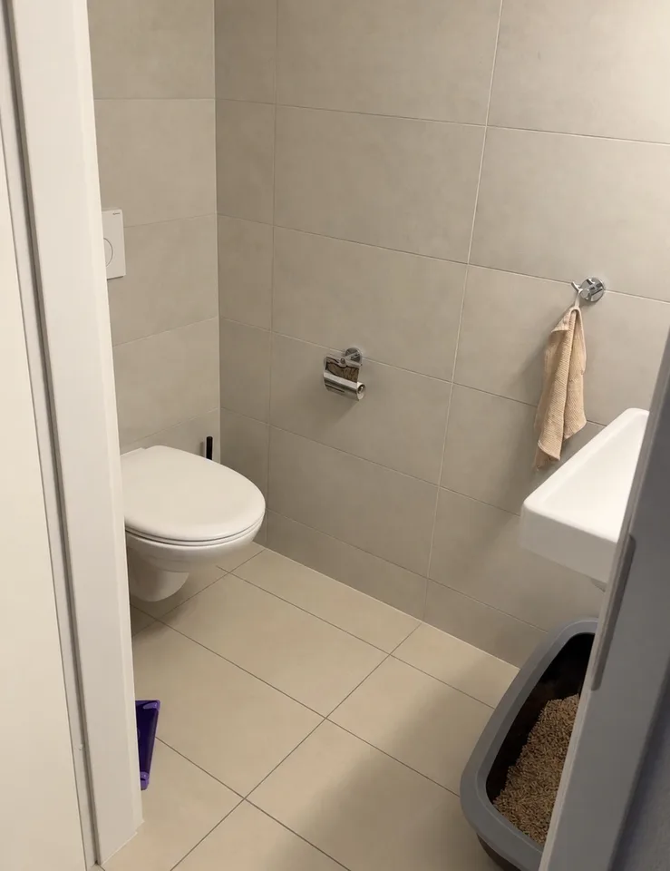 Apartment 2 ½ rooms, 1055 Froideville