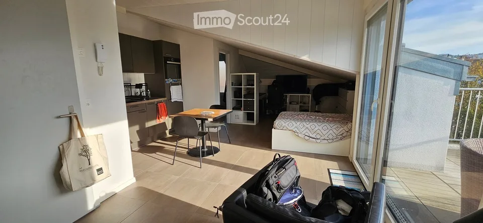 Très beau studio avec une vue magnifique sur le lac