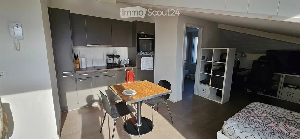 Très beau studio avec une vue magnifique sur le lac