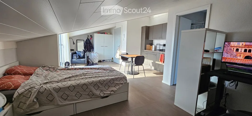 Très beau studio avec une vue magnifique sur le lac