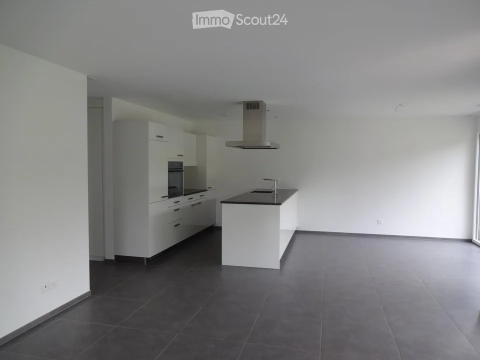 Bright newer 4.5-room apartment with seating area, lawn, cellar and HWR
