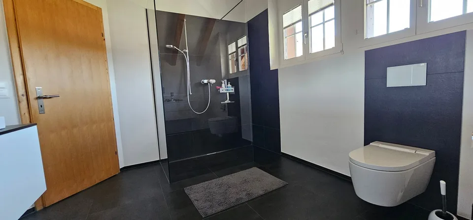 Casa unifamiliare di 6,5 locali con 700m2 di dintorni