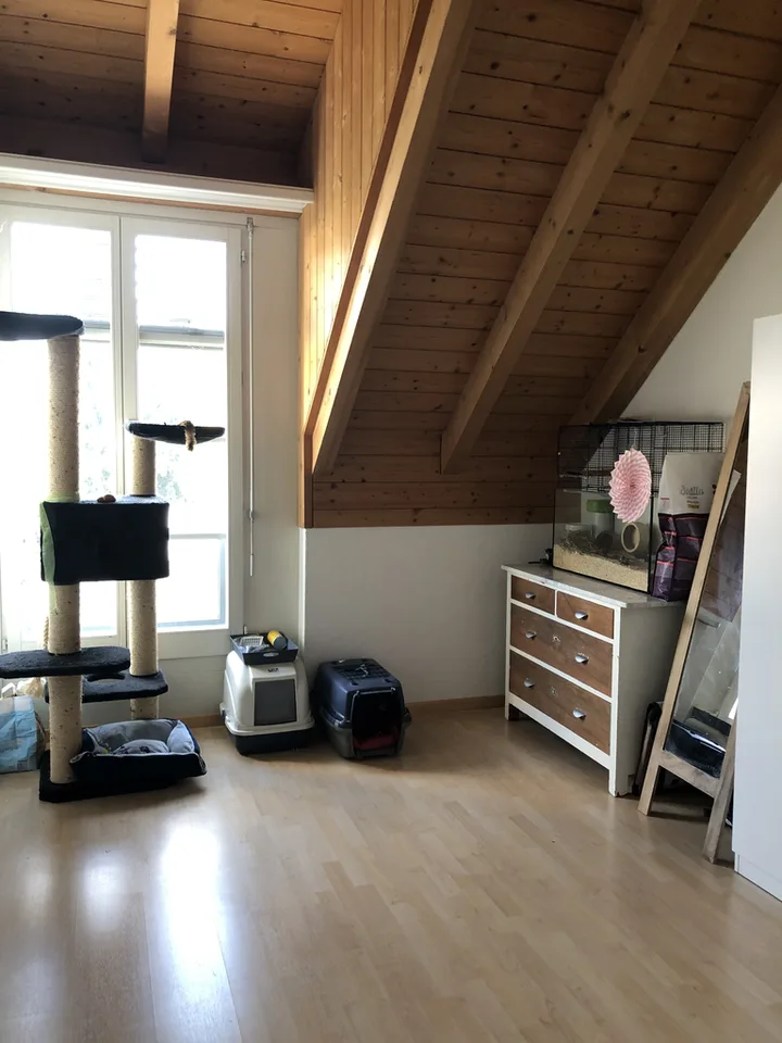 Charmante 4.5-Zimmer-Maisonettewohnung