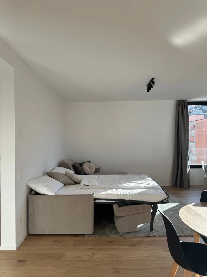 Elegante appartamento 5.5 locali a Viganello con balcone – foto 8 di 23