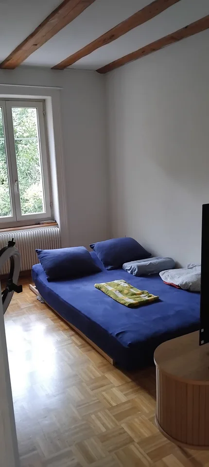APPARTEMENT 2 PIÈCES À BIEL/BIENNE (BE), MEUBLÉ, DURÉE DÉTERMINÉE
