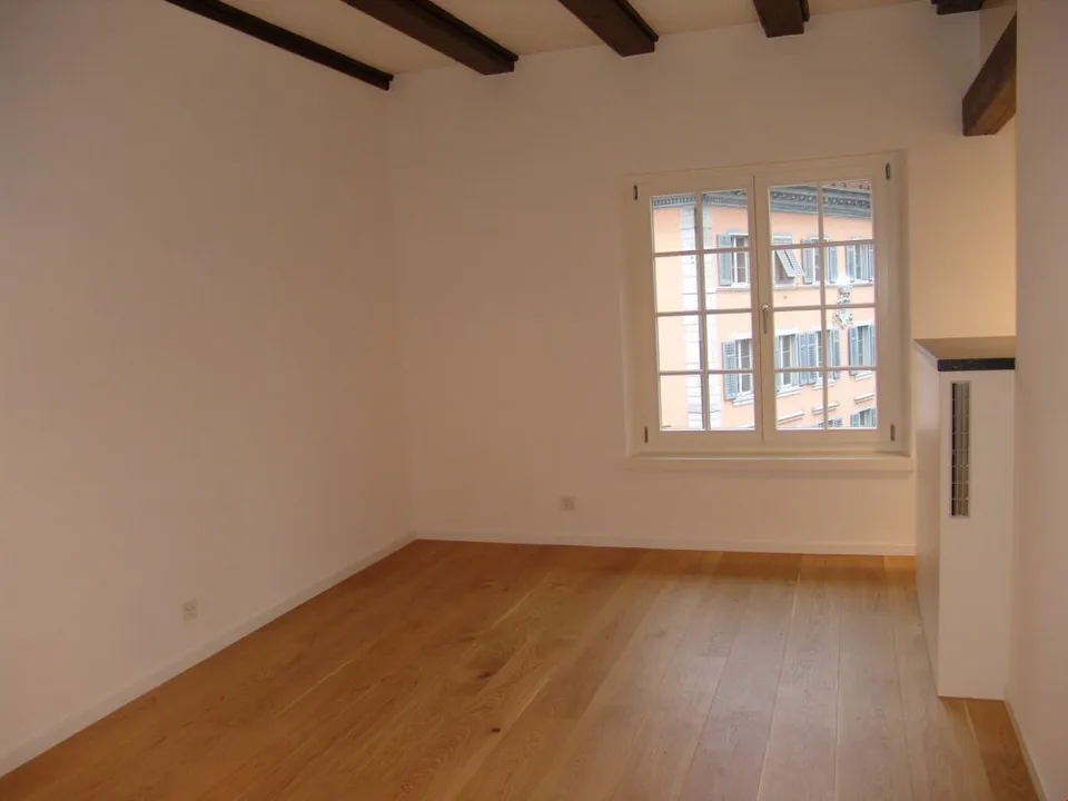 Appartement avec vue sur la cathédrale Saint-Ursen