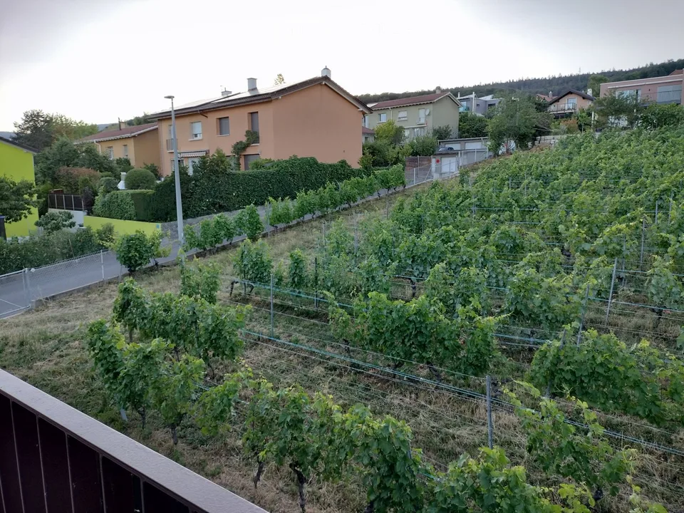 Camera singola arredata di 1,5 locali a Peseux, in una piccola condivisione. Ideale pied-à-terre.