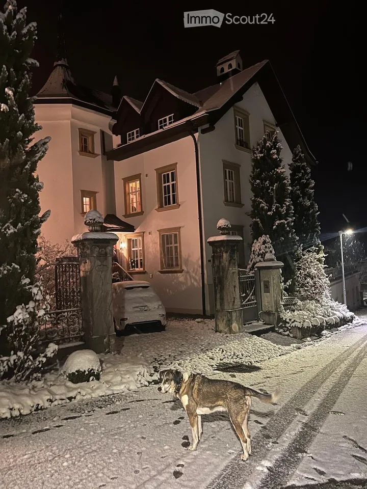 Vivre dans le magnifique château de Lohnegg avec vue sur le lac