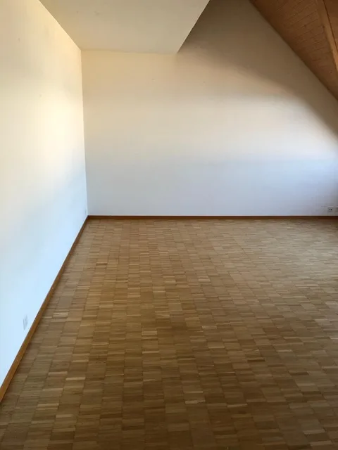 Spacious and cozy 1.5-room apartment for rent