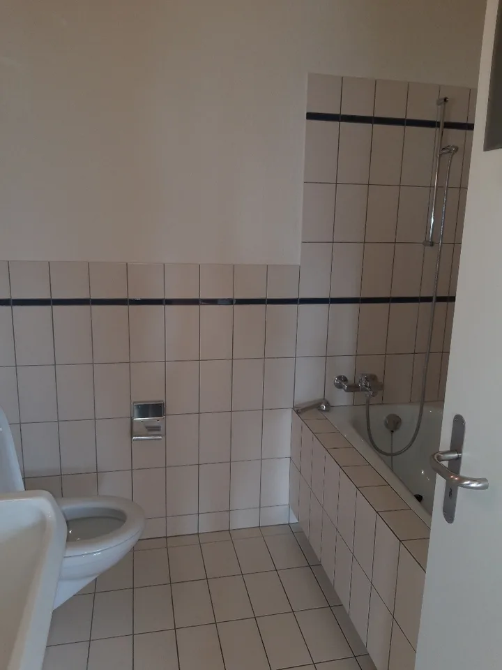 Spacious and cozy 1.5-room apartment for rent