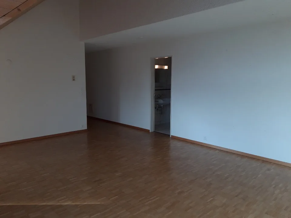 Spacious and cozy 1.5-room apartment for rent