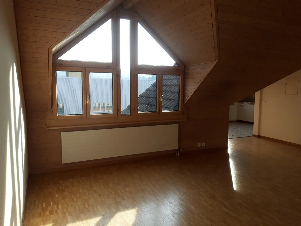 Spacious and cozy 1.5-room apartment for rent