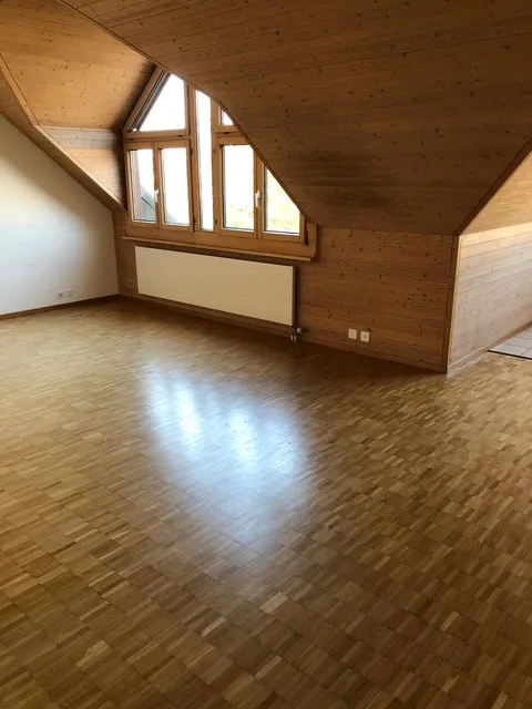 Spacious and cozy 1.5-room apartment for rent