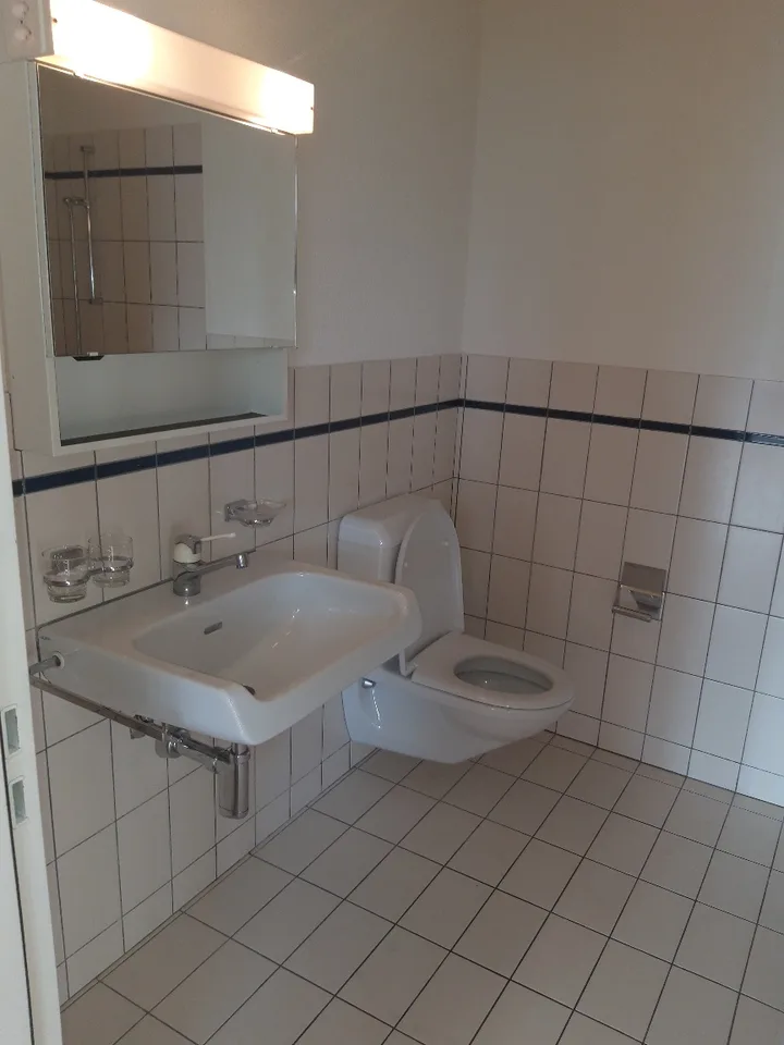 Spacious and cozy 1.5-room apartment for rent