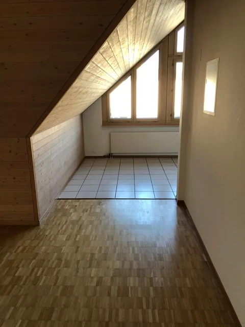 Spacious and cozy 1.5-room apartment for rent