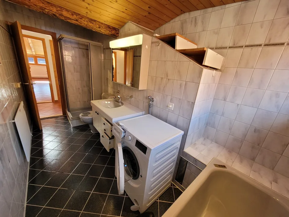 Appartement de 3,5 pièces en mansarde à Tamins – disponible immédiatement