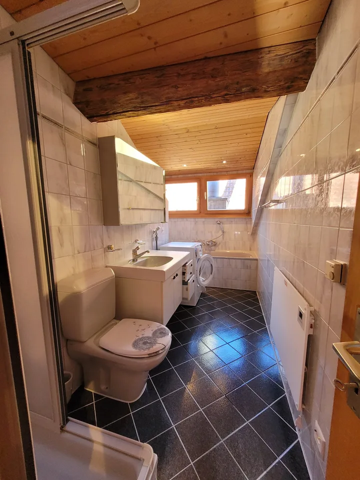 Appartement de 3,5 pièces en mansarde à Tamins – disponible immédiatement