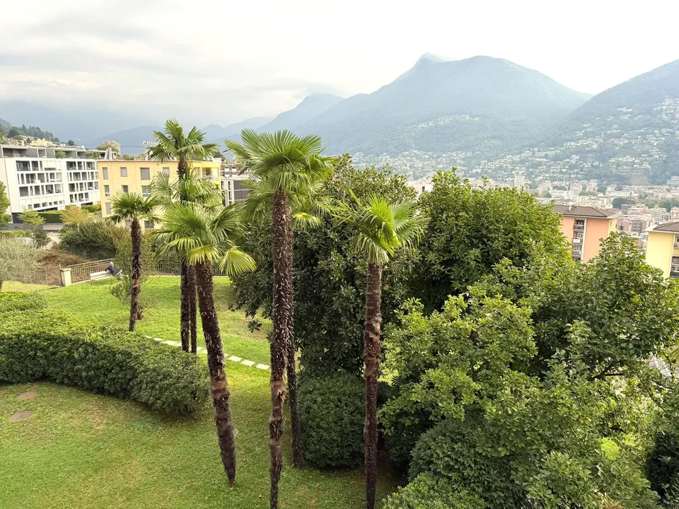 3,5 locaux avec terrasse et vue sur le lac AA 112 – photo 25 sur 27