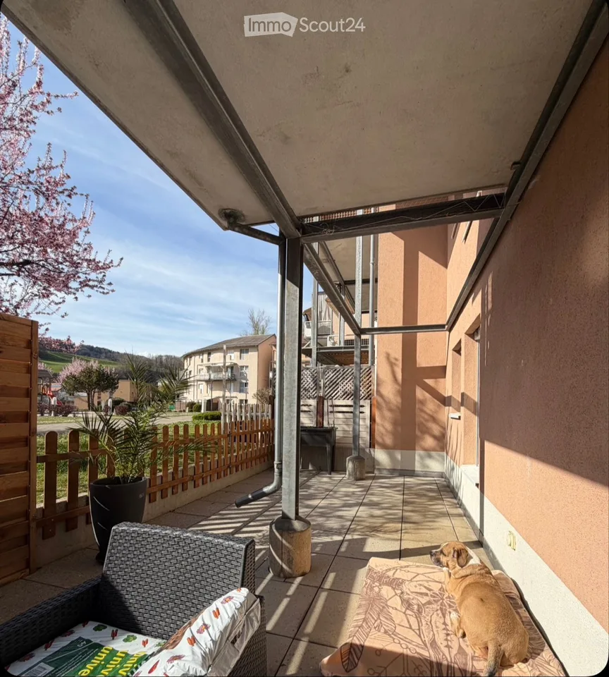 Ripreso contratto di affitto 2,5 locali con grande terrazza + parcheggio