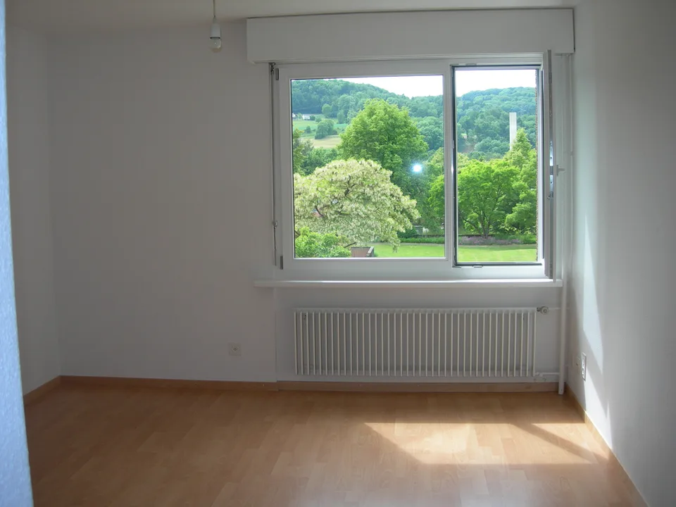 1-room apartment on the edge of the forest in Embrach