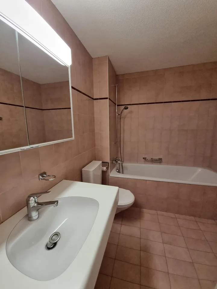 1 Month Free Rent - 5.5 Rooms on the 2nd Floor in Eiken – photo 12 of 12