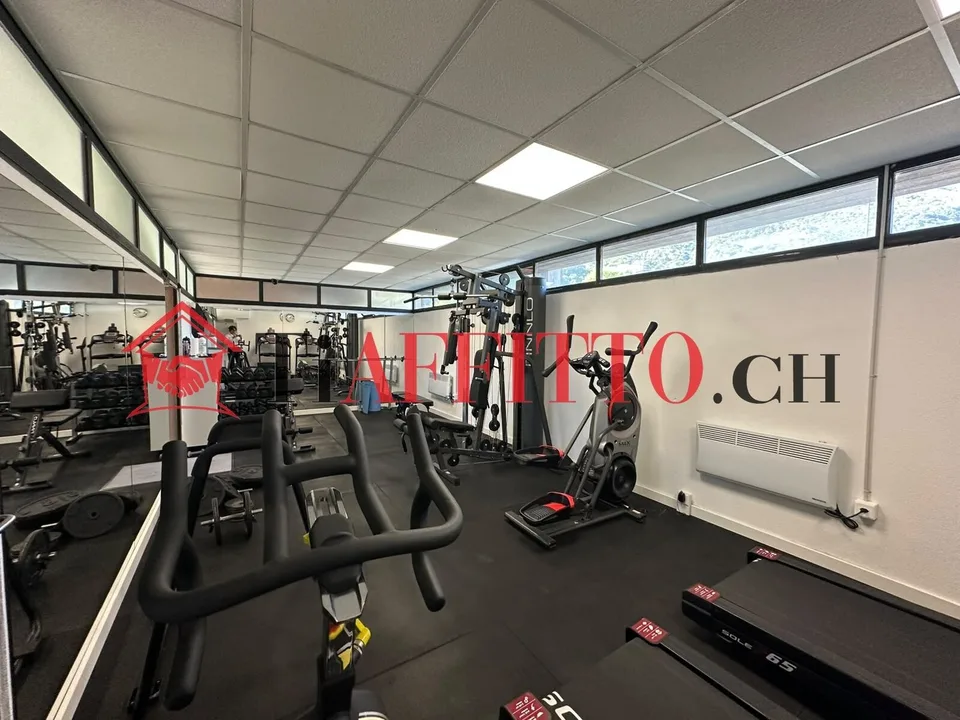 DUPLEX 3.5 LOCALI CON PALESTRA A MEZZOVICO