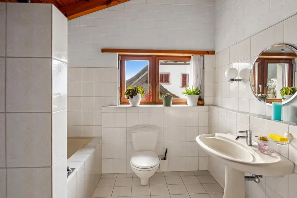 Dream property in a quiet location – photo 9 of 13