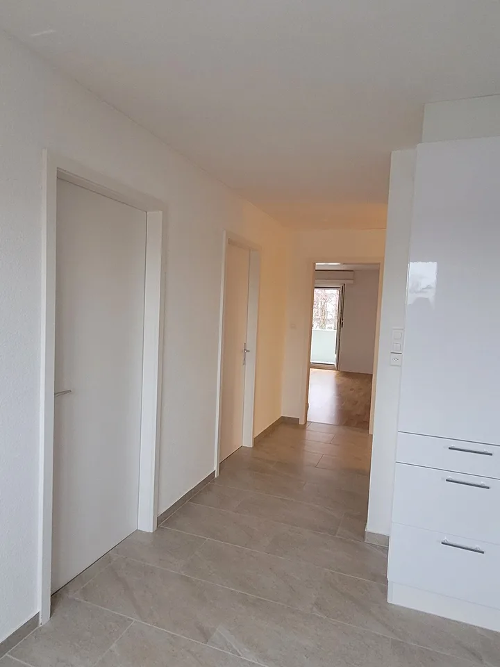 Appartement 4,5 pièces au bord du lac