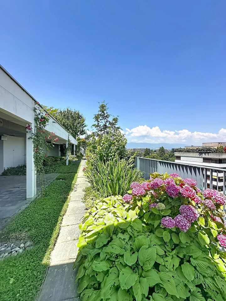 Appartamento carino con 3 camere da letto e piscina – foto 14 di 14