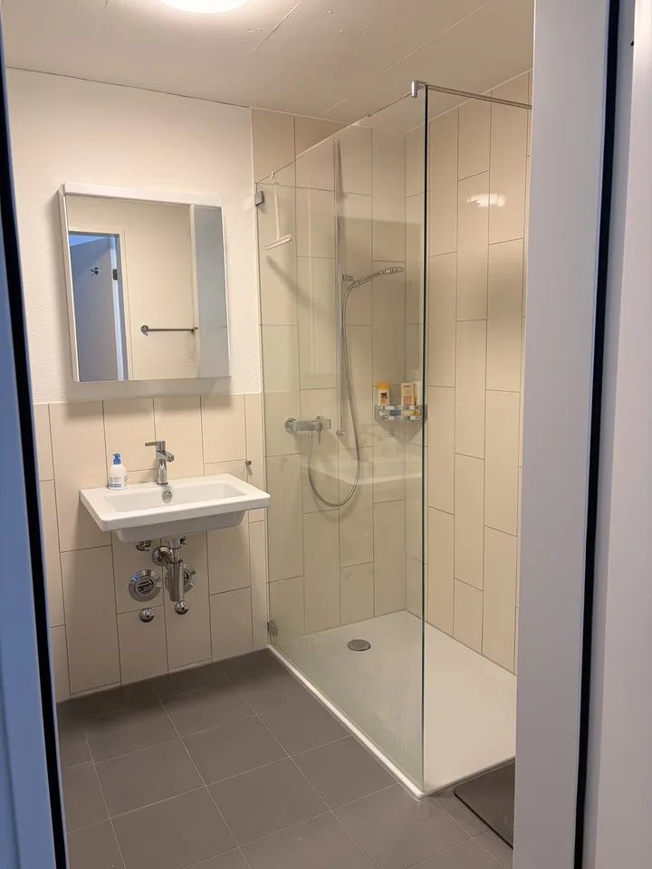 Modern 1.5 room apartment in Stettbach