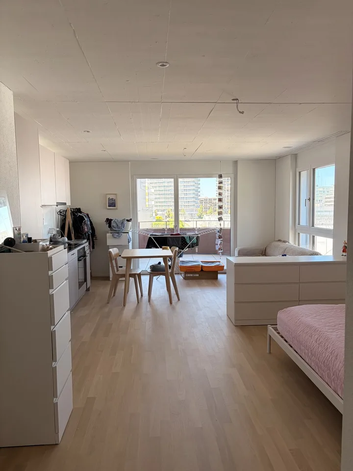 Modern 1.5 room apartment in Stettbach