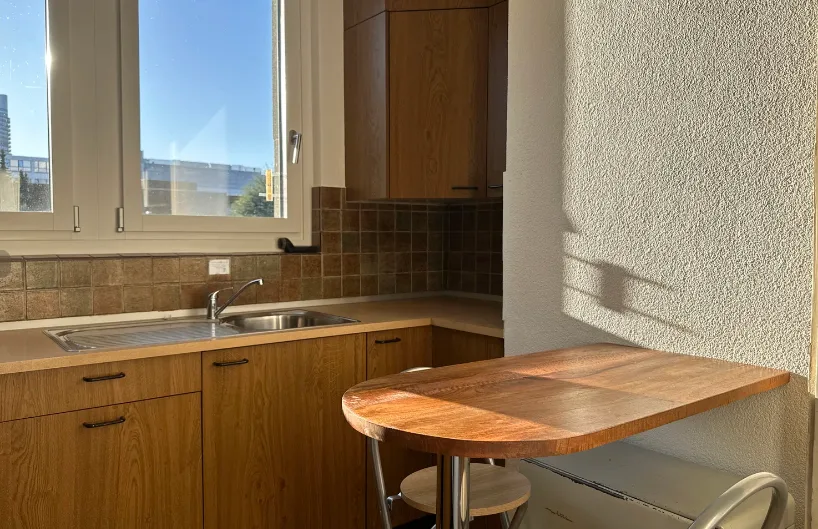 Room in Shared Flat in Dübendorf (December ONLY!)