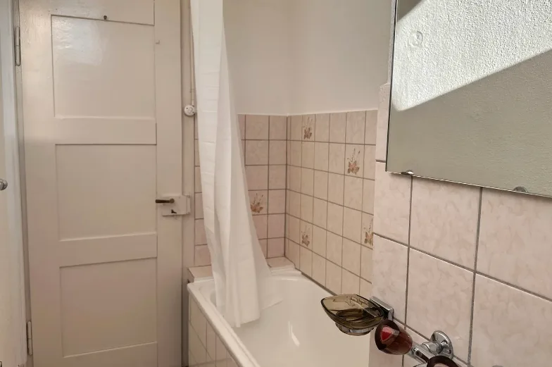 Room in Shared Flat in Dübendorf (December ONLY!)