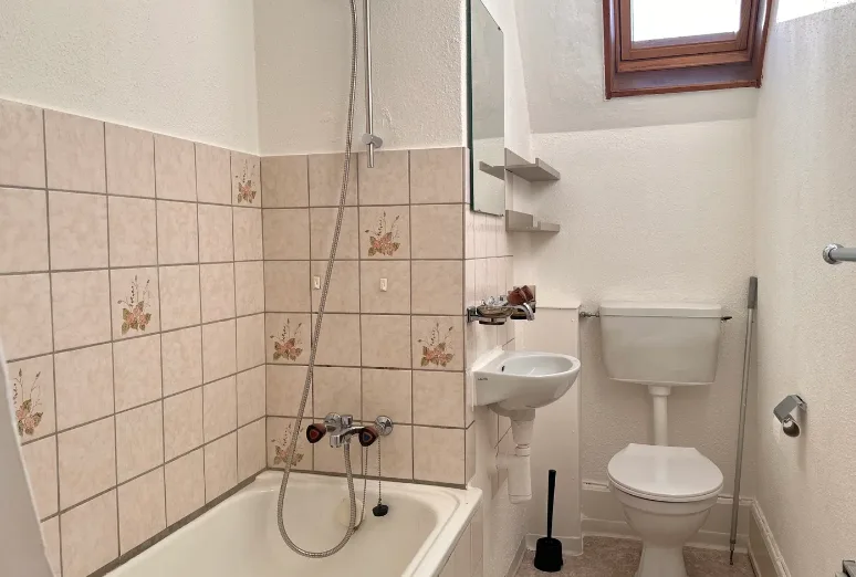 Room in Shared Flat in Dübendorf (December ONLY!)