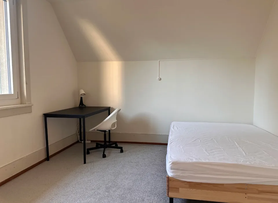 Room in Shared Flat in Dübendorf (December ONLY!)