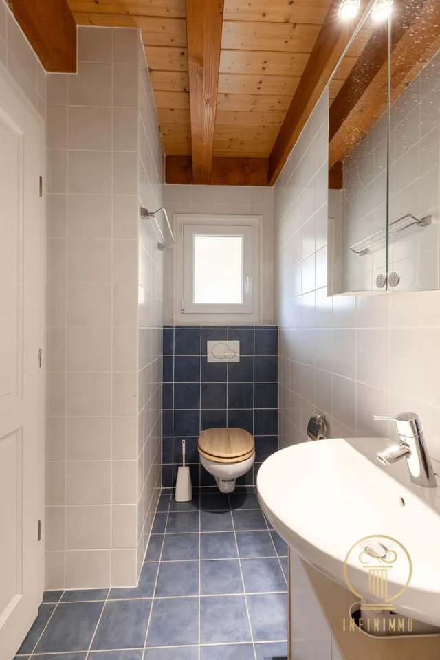 EXCLUSIVITY! 3' from GIMEL - nice semi-detached villa with 5.5 rooms in a quiet and very pleasant neighborhood. – photo 25 of 27