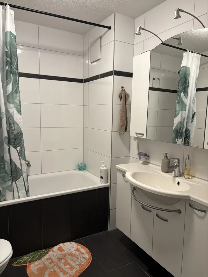 3½ ZI-WOHNUNG IN BIBERIST (SO), MÖBLIERT, TEMPORÄR – Foto 5 von 8