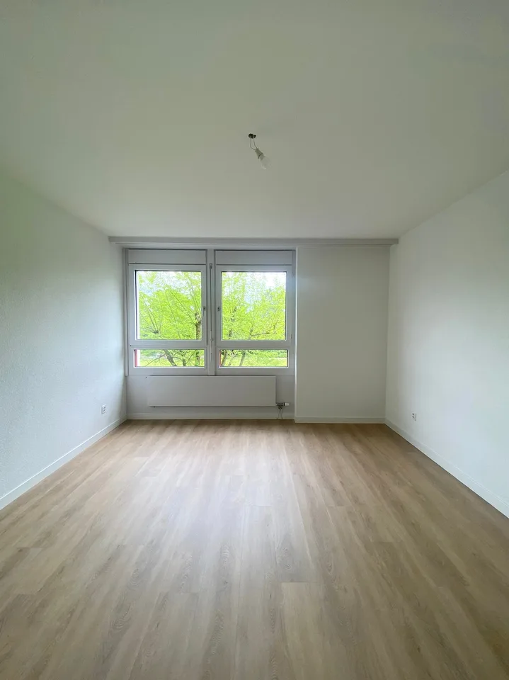 Renovated apartment in a green environment – photo 4 of 11