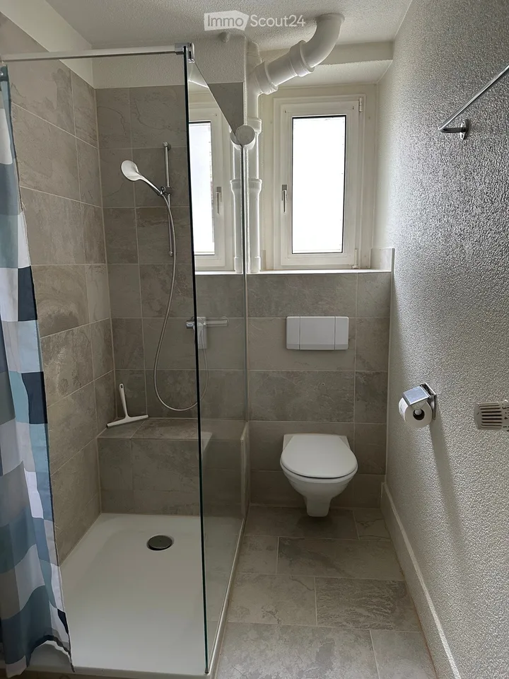 Charmant appartement 3.5 pièces en centre-ville avec jardin
