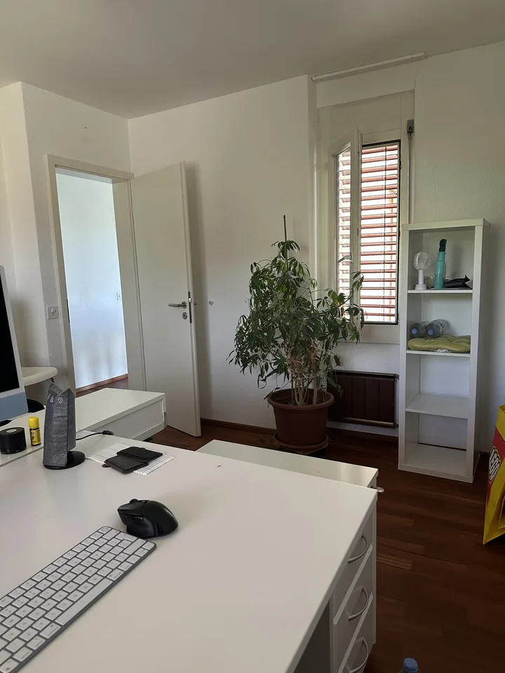 Beautiful 4½-room house (165 m²)