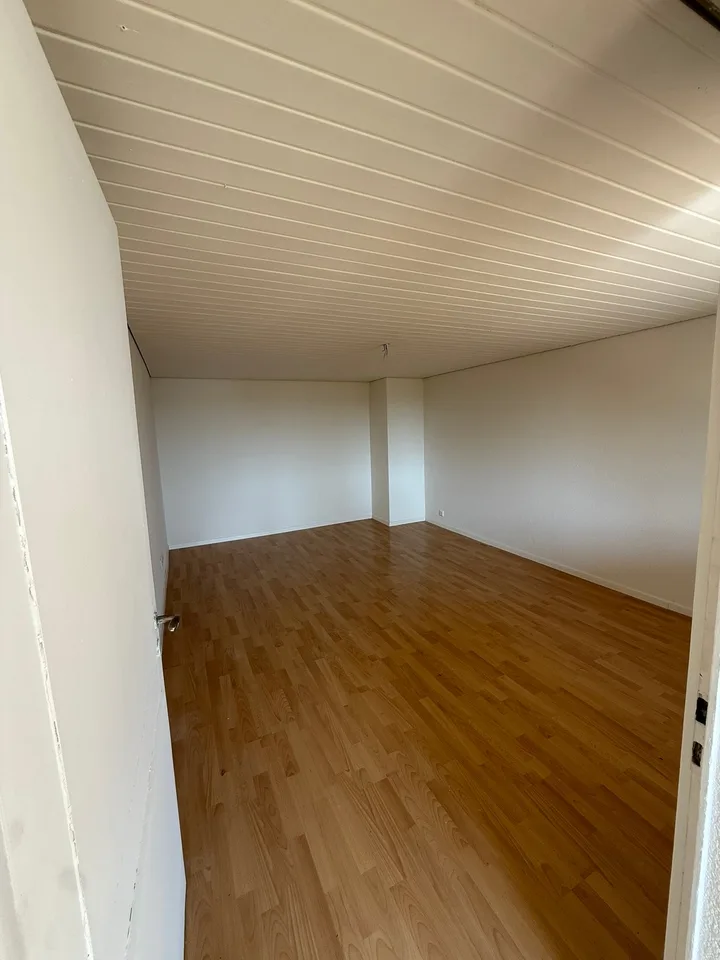 APPARTEMENT 5 PIÈCES SPACIEUX À OFTRINGEN