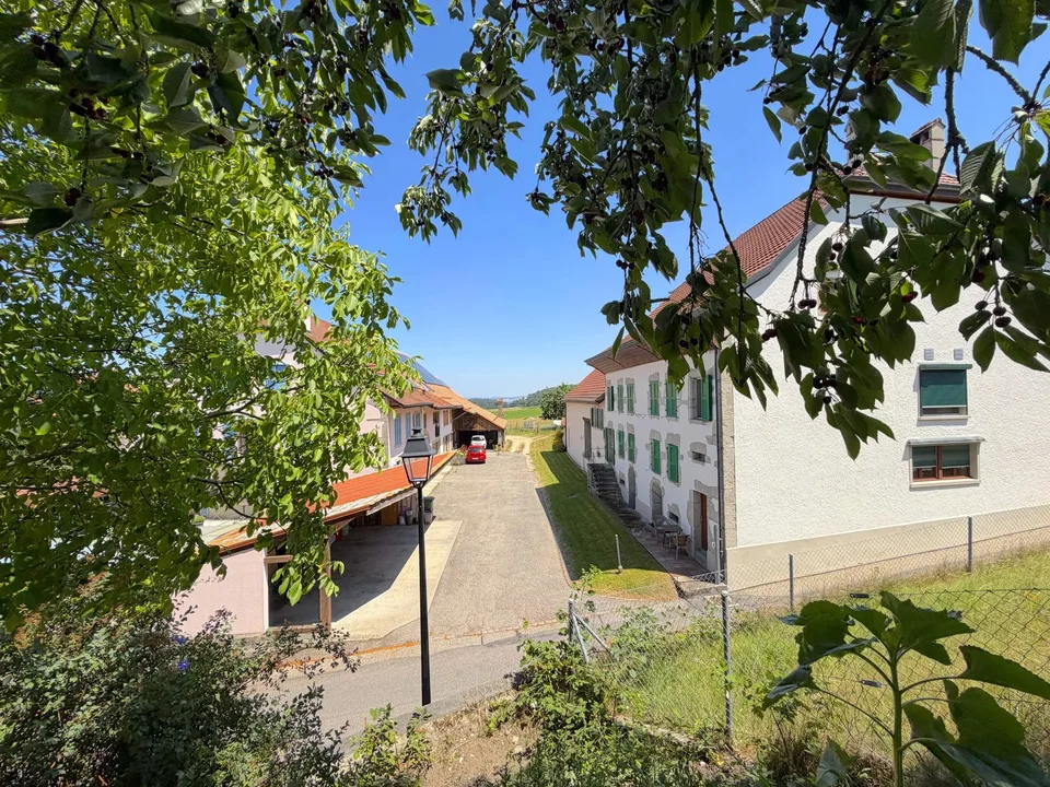 Bauparzelle von 517,00 m2 – Foto 8 von 13