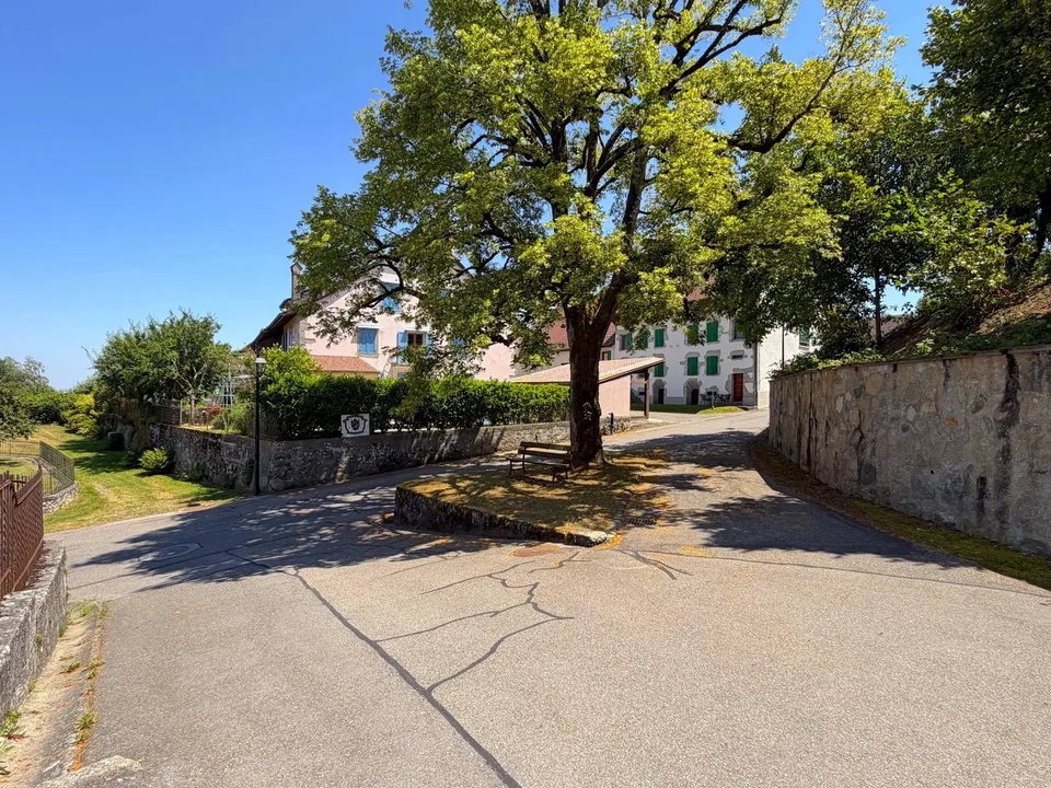 Bauparzelle von 517,00 m2 – Foto 13 von 13